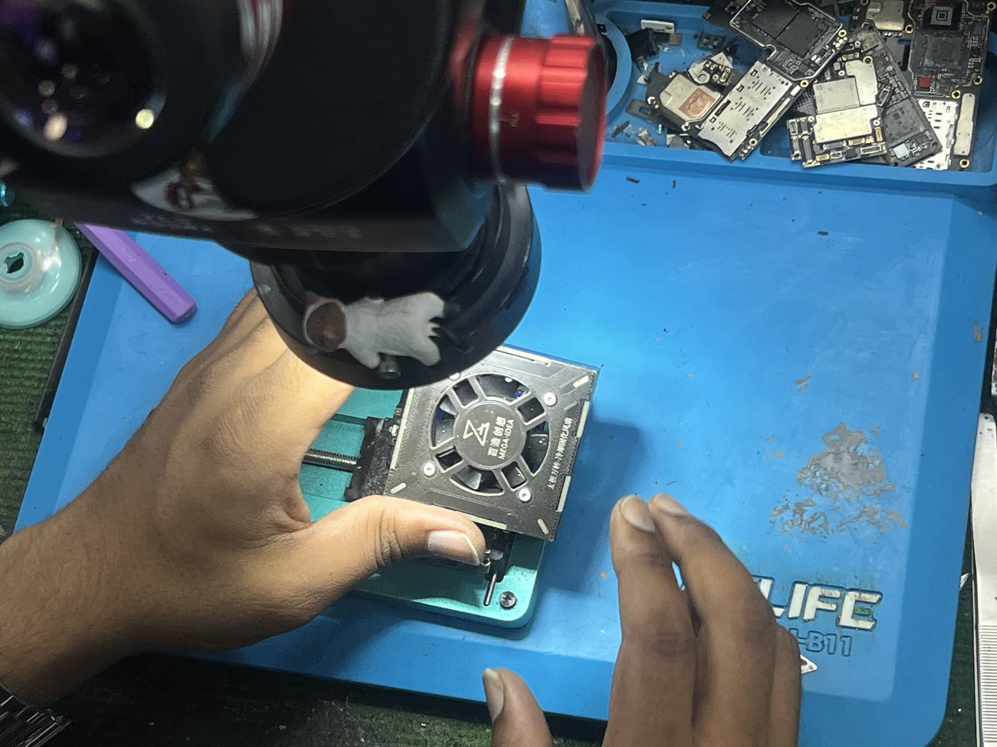 Data Transfer & Setup